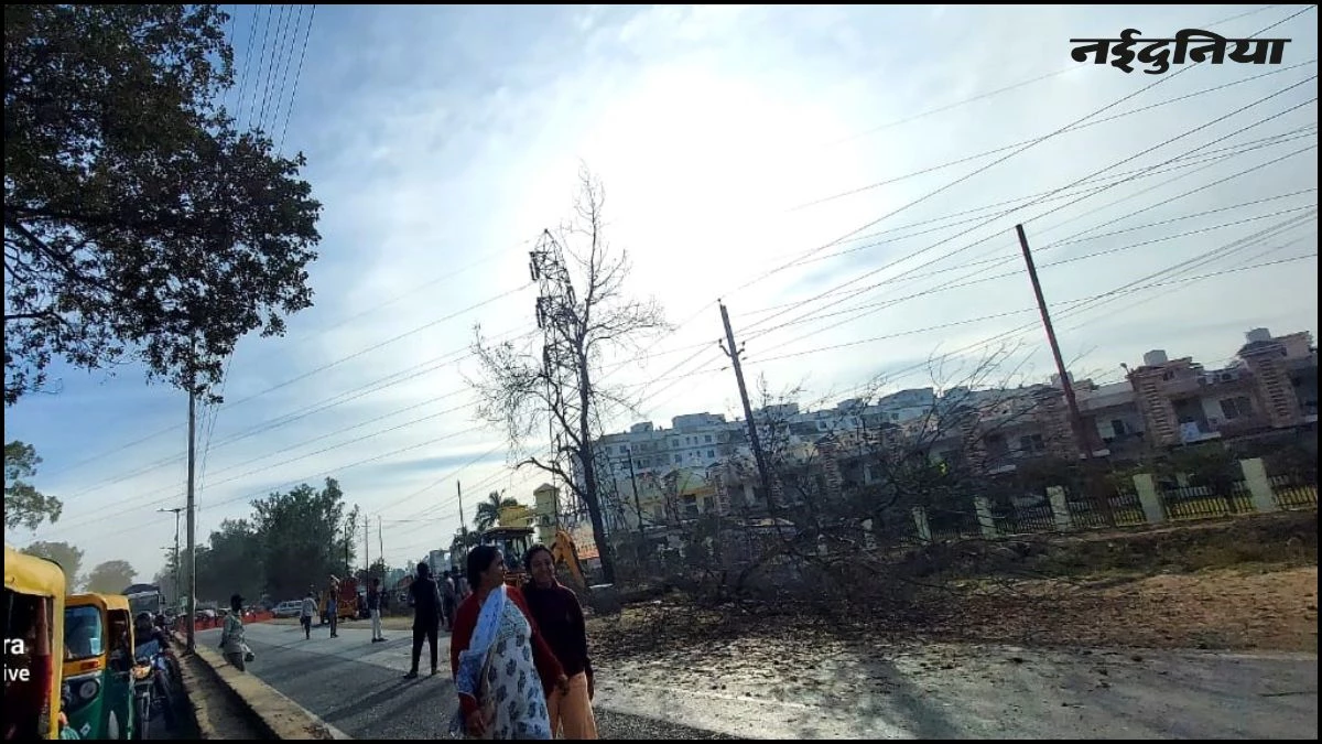 भोपाल में अयोध्या बायपास को सिक्‍सलेन करने के लिए चलने लगी कुल्हाड़ी, कटे 60 से अधिक पेड़, पर्यावरण प्रेमियों ने किया 'चिपको आंदोलन' का एलान