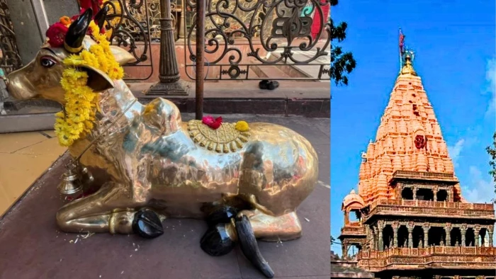 Ujjain News: महाकाल मंदिर में 111 किलो पीतल के नंदी भेंट, जल्द किए जाएंगे प्रतिष्ठित