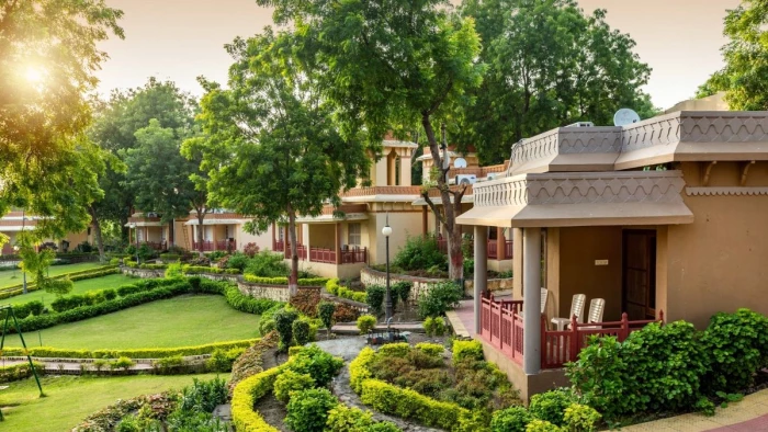 पंचमढ़ी से कान्हा तक हाउसफुल... क्रिसमस-नए साल पर मध्य प्रदेश बना पर्यटकों की पहली पसंद, 95% होटल बुक