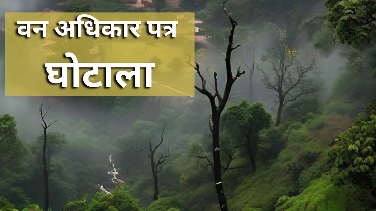 शिवपुरी में वनाधिकार पत्र देने में बड़ा घोटाला, गूगल इमेजनरी की मदद से हुआ मामले का खुलासा