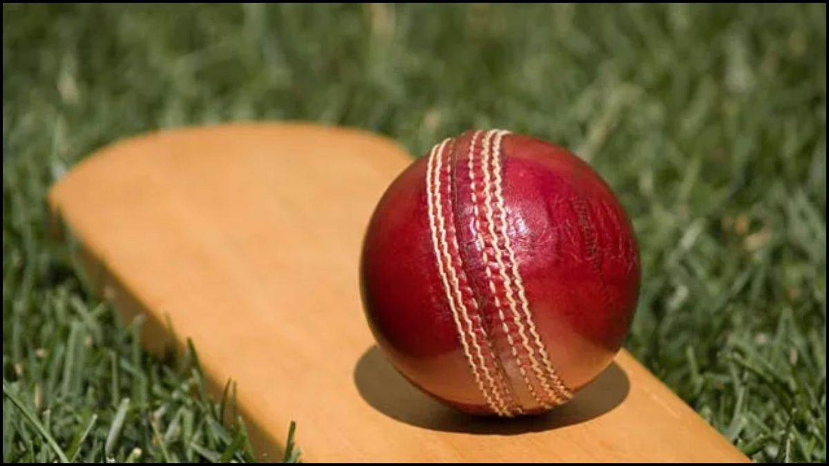 क्रिकेट जगत में पहली बार हुआ ऐसा करिश्मा! एक ही टी20 सीरीज में दो गेंदबाजों ने ली हैट्रिक