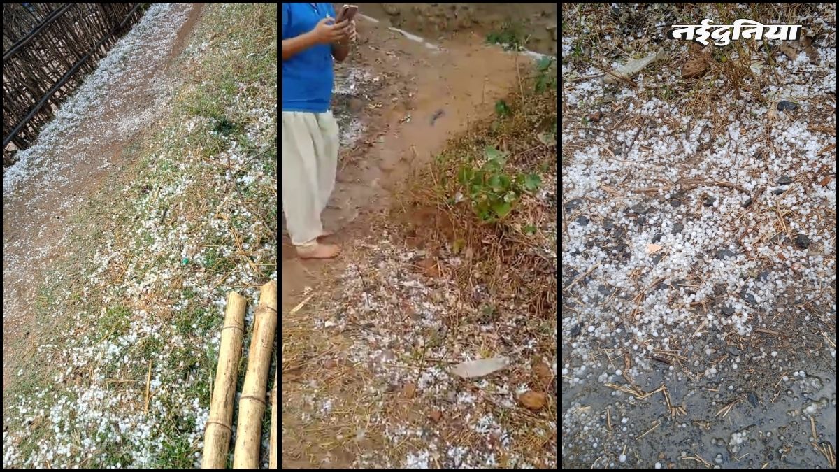 MP Weather Update: सीधी में बदला मौसम, ओलावृष्टि और आंधी से फसलें चौपट, किसानों की बढ़ी चिंता