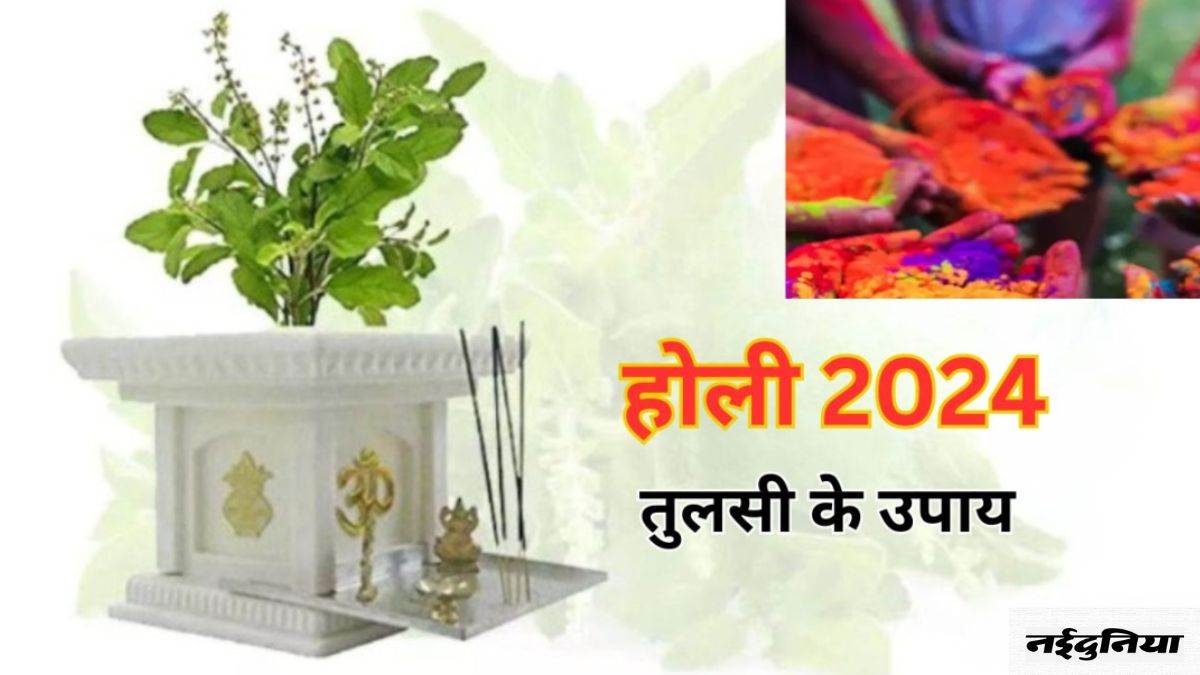 Holi 2024 Tulsi Upay: होली पर जरूर करें तुलसी से जुड़ा ये उपाय, मिलेगा आर्थिक लाभ