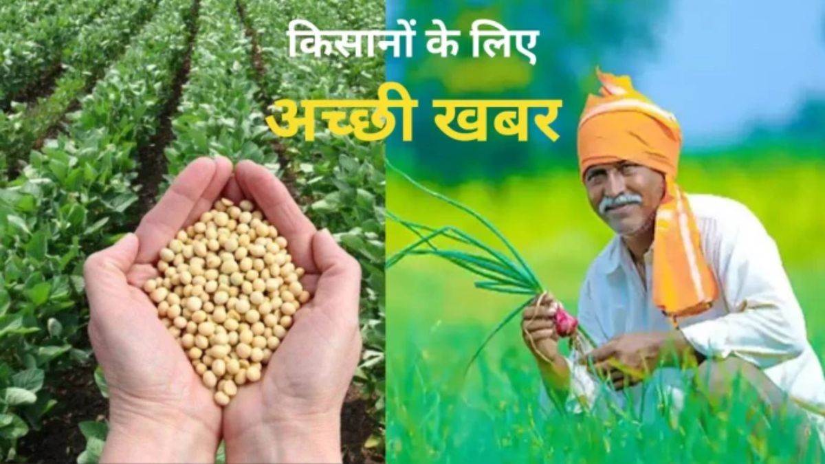 MP के किसानों के लिए बड़ी खबर... अब 1 अप्रैल तक करवा सकेंगे भावांतर योजना का सत्यापन