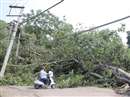 UP Weather News: उत्तर प्रदेश में आफत की बारिश, आंधी से पेड़, बिजली खंभे उखड़े, राज्य में 21 मौतें
