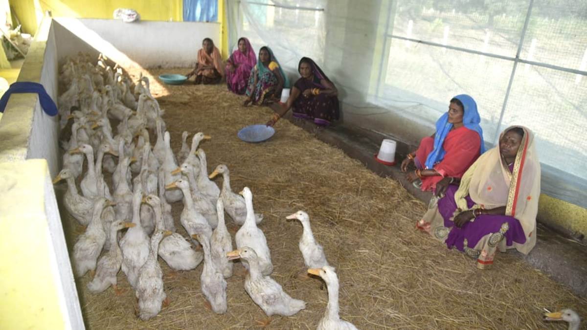 Bilaspur News: समृद्धि और खुशहाली का आधार बन रहे गोठान