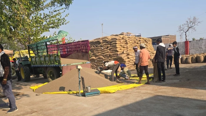 समर्थन मूल्य पर मूंग-उड़द खरीदी : विदिशा में किसान खुद न आएं तब भी फेस स्कैनिंग से सत्यापन कराना जरूरी, 25 मई से पंजीयन