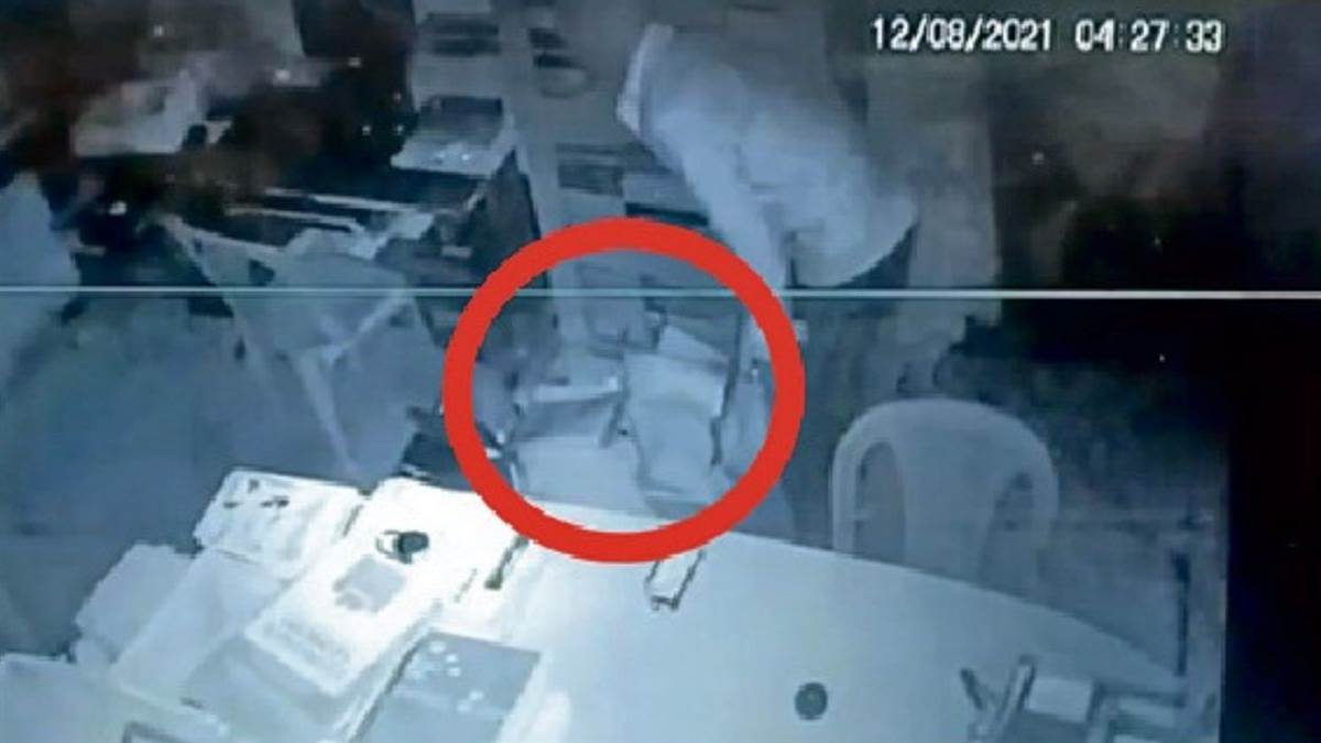 ग्वालियर में 'हाई-प्रोफाइल' चोरी: विस अध्यक्ष तोमर के खिलाफ सबूतों वाला फोन ले उड़ा चोर; सीसीटीवी में फाइलें पढ़ता दिखा बदमाश!