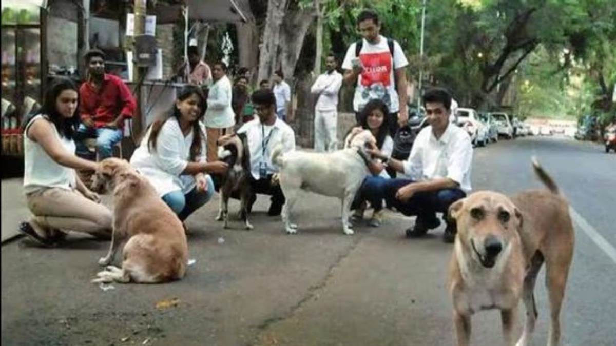 कुत्तों के प्यार में खूनी संघर्ष: ग्वालियर में कुत्तों के चक्कर में फूट रहे पड़ोसियों के सिर, थानों में लगी कतारें
