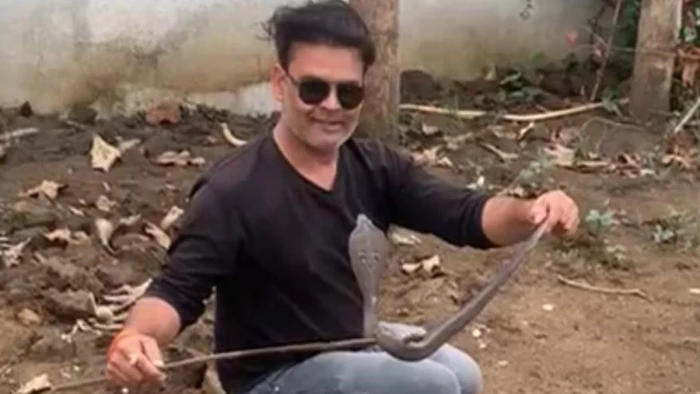 शहडोल में पाई जाती हैं जहरीले सर्पों की तीन प्रजातियां, सबसे ज्यादा इंडियन स्पेक्टीकल कोबरा, रहें सतर्क