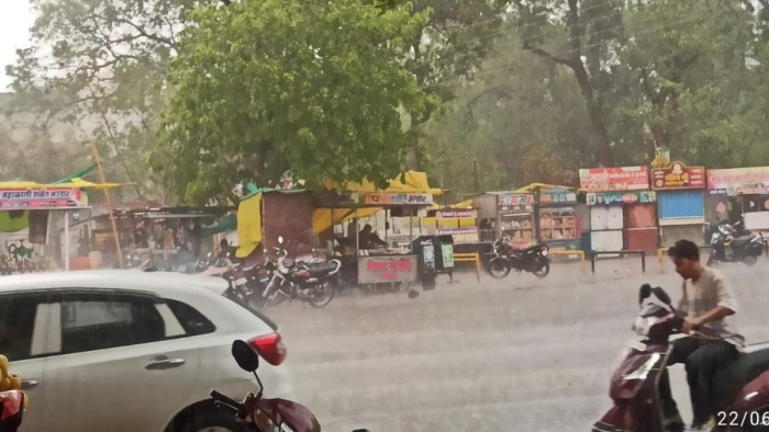 खंडवा में तूफान के साथ आई बारिश ने मचाया कोहराम, बिजली के तारों पर गिरे पेड़, हुआ ब्लैक आउट