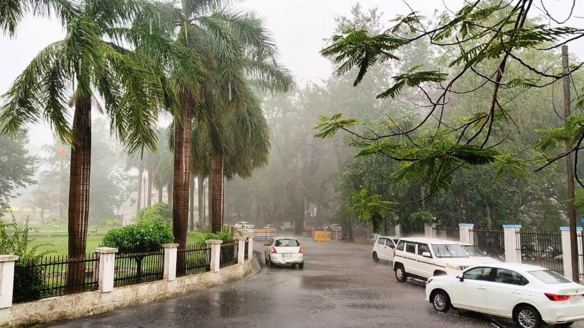 छत्तीसगढ़ में मानसून की एंट्री, IMD का अंबिकापुर, मुंगेली-रायगढ़-सरगुजा सहित कई जिलों में बारिश और तेज हवाओं का अलर्ट