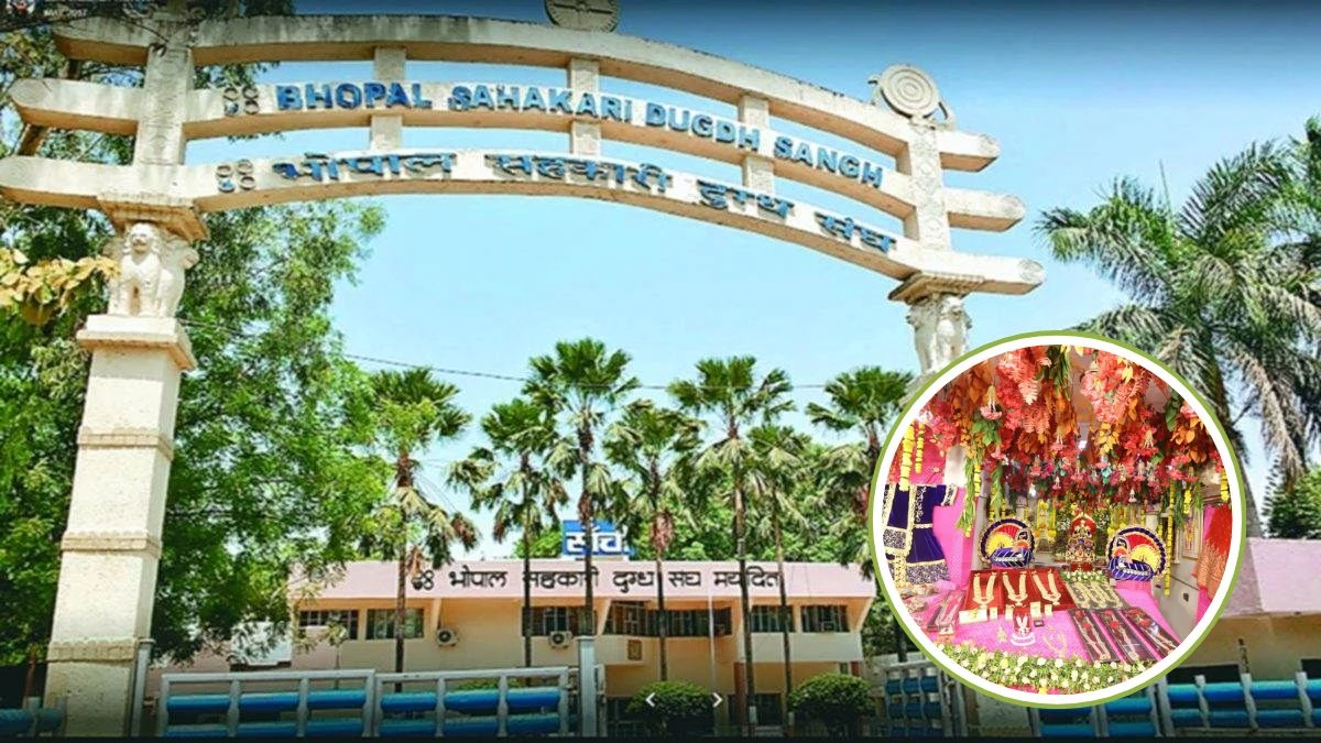 किसानों की बेटियों का मामा बनेगा भोपाल दुग्ध संघ, शादी पर भेजेगा 11 हजार रुपये का 'मामेरा'