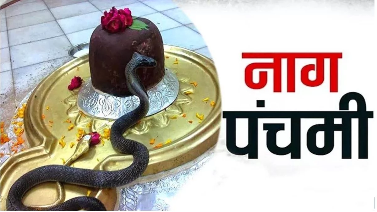 Nag panchami 2025 पर सर्प की पूजा नहीं करें, मंदिर में मूर्ति पर दूध, फल-फूल चढ़ाएं… ज्योतिषाचार्य से जानिए क्या करें और क्या नहीं