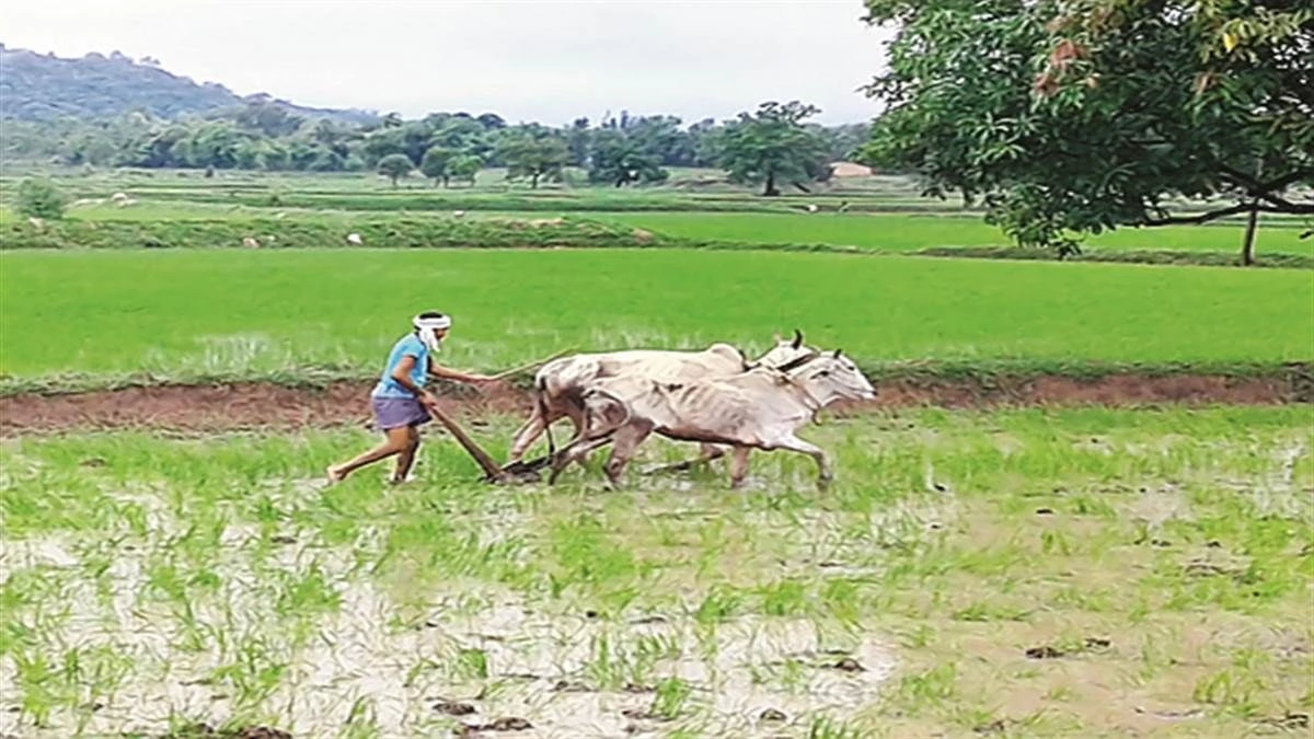 भोपाल में 'लालची' आरआई का कांड, राजस्व रिकॉर्ड के नक्शे से ही गायब कर दी किसानों की भूमि