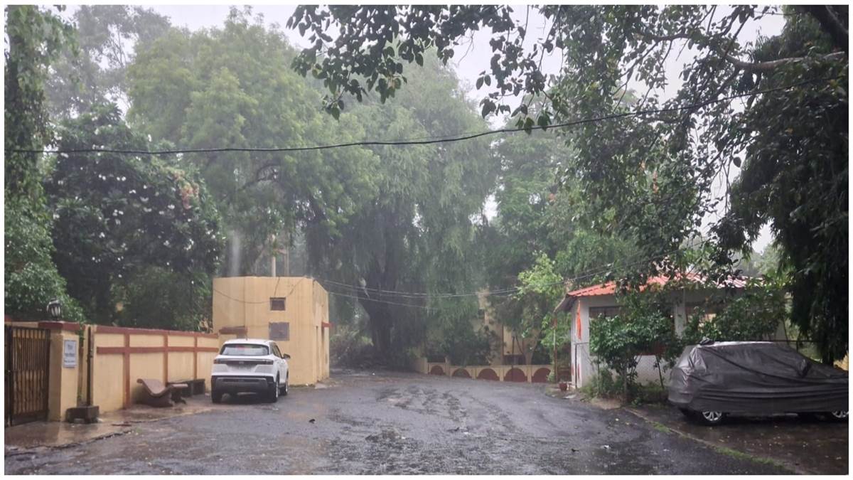 आषाढ़ में सावन सा अहसास: बिलासपुर में दिनभर रिमझिम फुहारों से घुली नमी, मौसम हुआ सुहाना