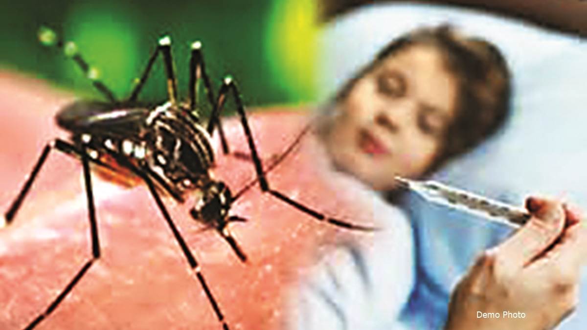 Ujjain में सरकारी रिकार्ड में मलेरिया का एक भी मामला नहीं, निजी अस्‍पतालों में मरीजों की भरमार