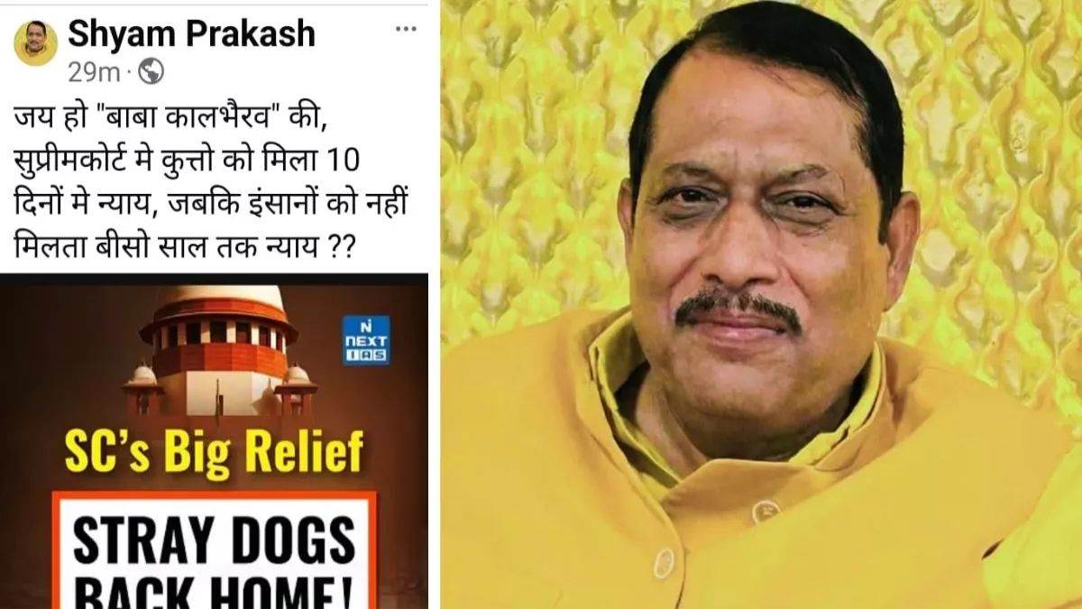 'कुत्तों को 10 दिनों में मिला न्याय जबकि इंसानो को...', BJP विधायक ने स्ट्रीट डॉग्स पर सुप्रीम कोर्ट के नए आदेश पर कसा तंज, कमेंट की आई बाढ़