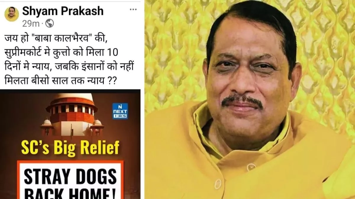 'कुत्तों को 10 दिनों में मिला न्याय जबकि इंसानो को...', BJP विधायक ने स्ट्रीट डॉग्स पर सुप्रीम कोर्ट के नए आदेश पर कसा तंज, कमेंट की आई बाढ़