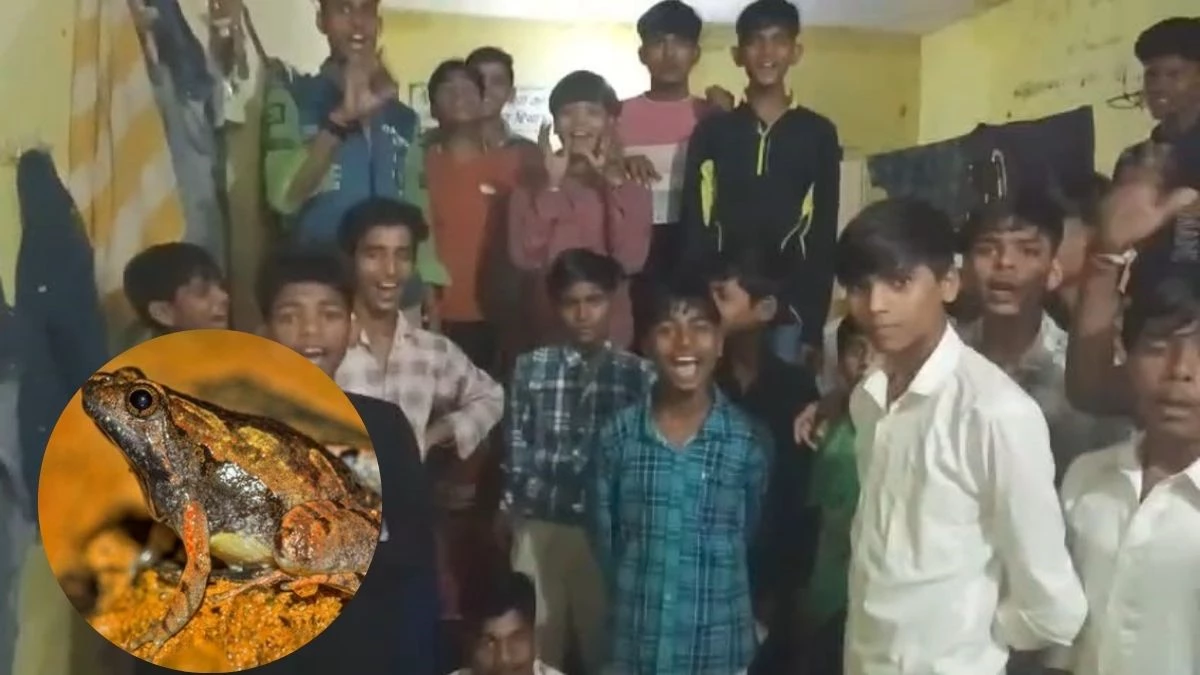 MP में छात्रों की जान से खिलवाड़! आदिवासी हॉस्टल की सब्जी में मिला मरा हुआ मेंढक