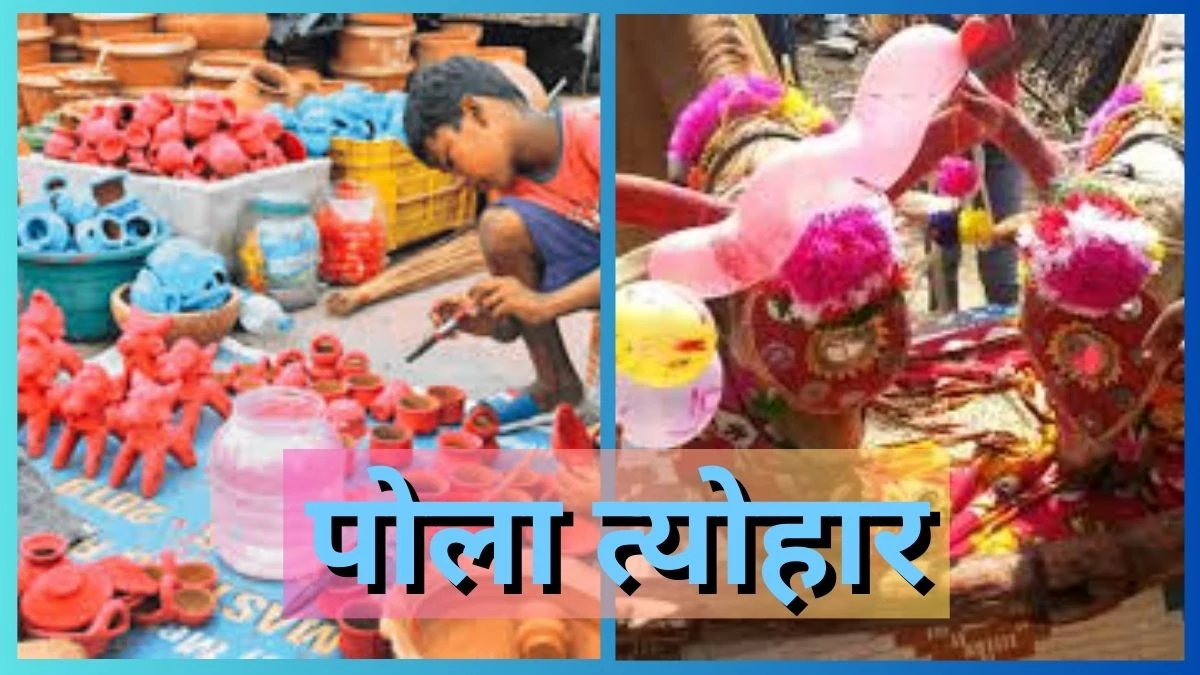 छत्तीसगढ़ का अनोखा त्योहार...बैलों का आभार जताने के लिए किसान मनाते हैं 'पोला तिहार'