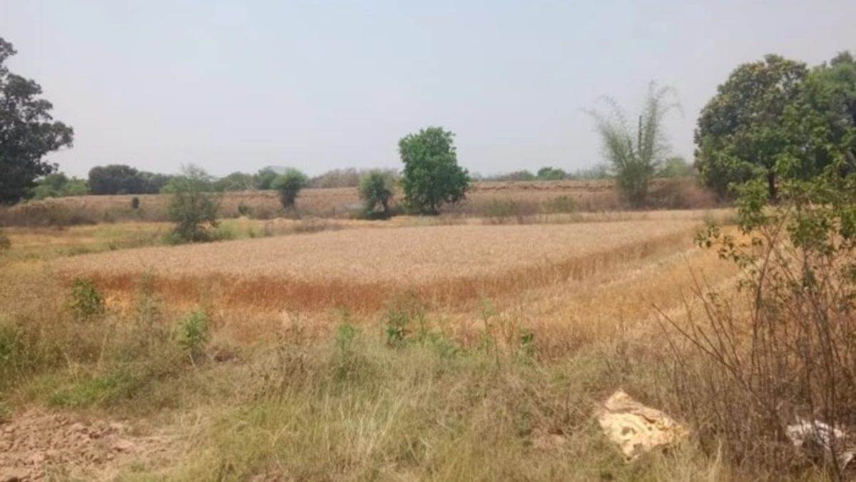 बुरहानपुर में पट्टे वाली सरकारी जमीनों की कुंडली खंगालेगा प्रशासन