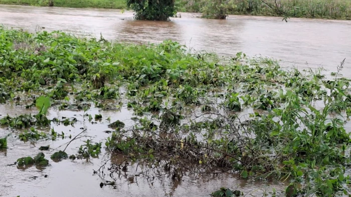 डिंडोरी में खरमेर नदी की तेज धारा में बहा व्यक्ति, SDRF ने चलाया सर्च ऑपरेशन, 24 घंटे बाद भी नहीं मिला सुराग