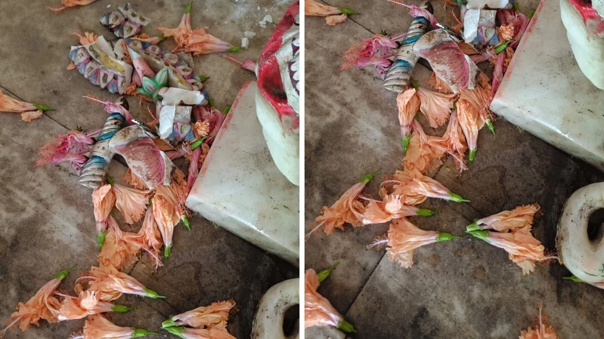 बिलासपुर में आस्था पर चोट, मंदिर में भगवान गणेश की प्रतिमा तोड़ी और हनुमान जी के नैन चुराए, जनता में भारी आक्रोश