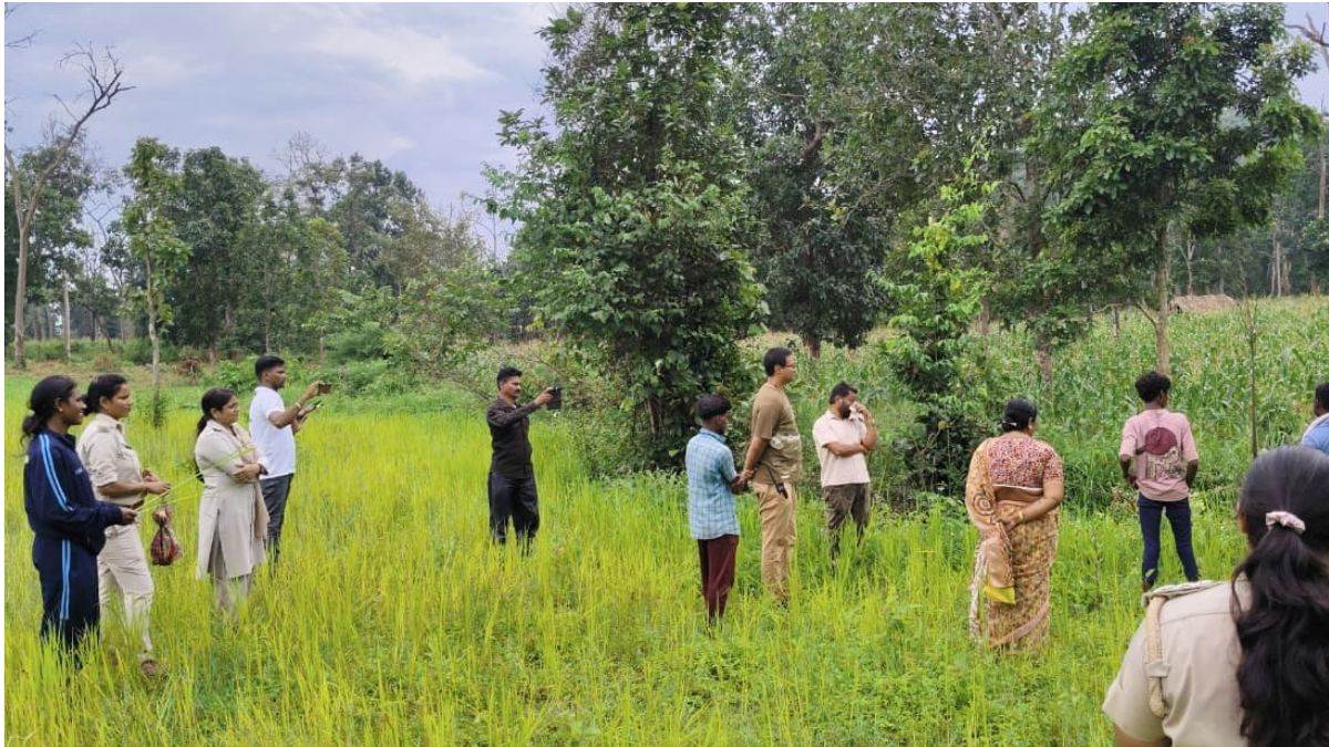 उदंती-सीतानदी टाइगर रिजर्व के करका के जंगल में पेड़ों की कटाई का मामला आया सामने, 30 हजार पेड़ कटने का अनुमान