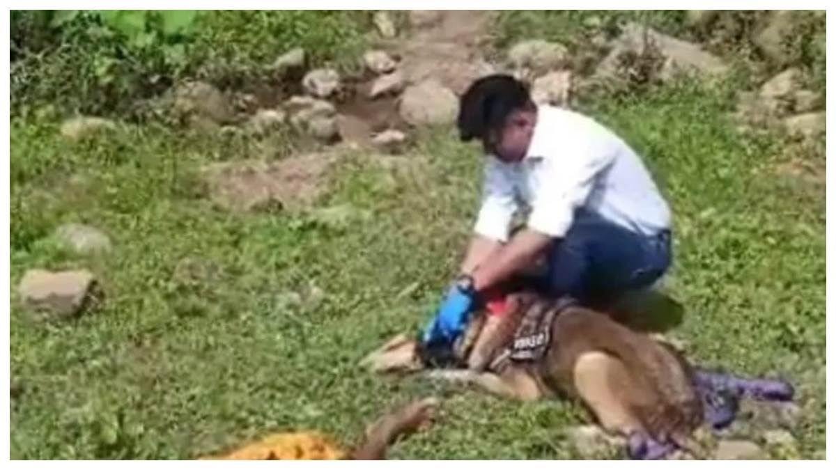 पति गया राजस्थान...... कोरबा में सूने घर से 300 मीटर दूर पत्थर से कुचलकर महिला की हत्या