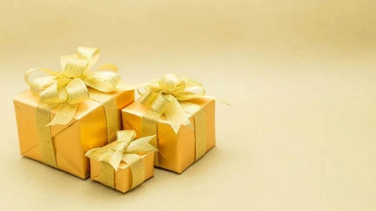Diwali 2024 Gift Ideas: दिवाली पर अपने रिश्तेदारों को करवाना चाहते हैं प्रीमियम फील, तो दें ये शानदार गिफ्ट्स