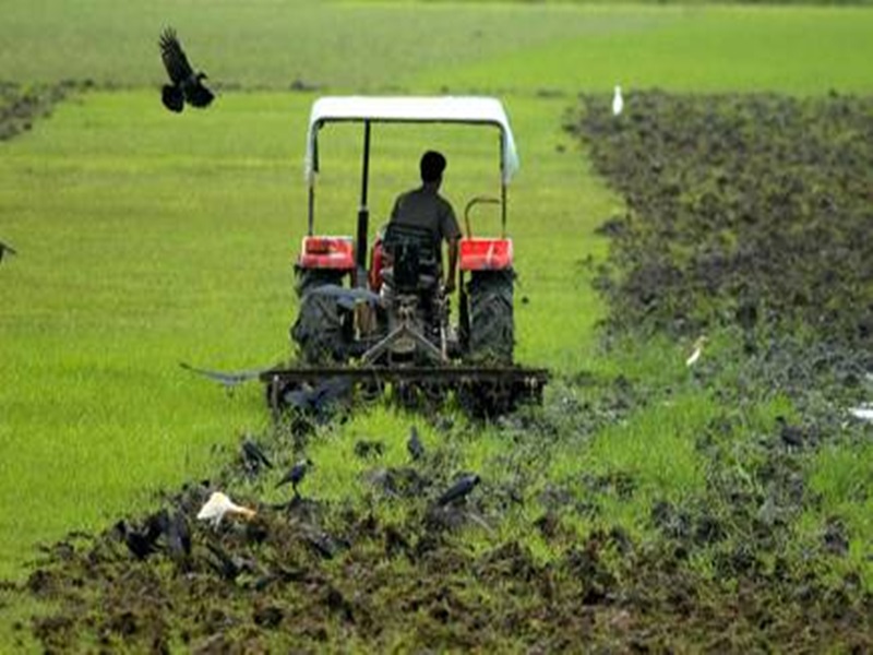 Online Tractor Booking : अब कैब की तरह किसान खेती के लिए किराए पर मंगा  सकेंगे ट्रैक्टर - Online Tractor Booking: Now farmers will be able to hire  tractors for farming like cabs