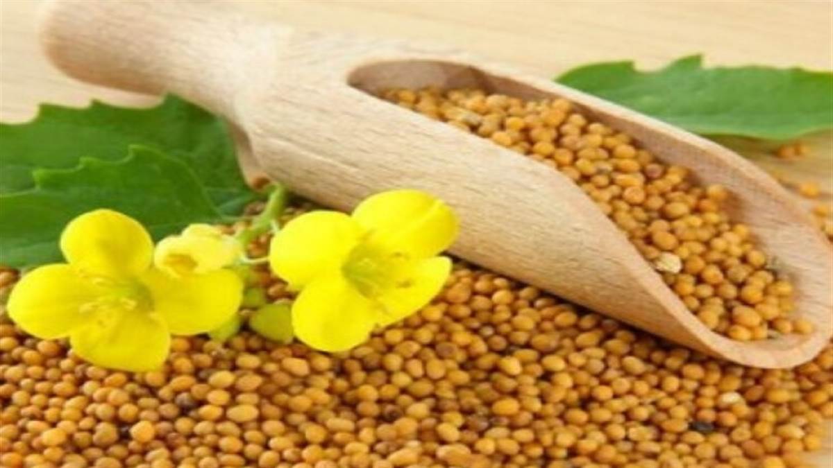 Peeli Sarson ke Upay पीली सरसों का ये छोटा सा उपाय दिलाएगा जीवन में
