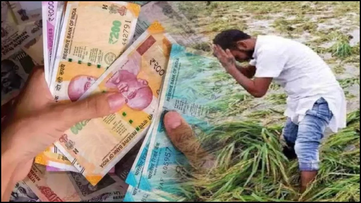 MP के इस जिले में 15 हजार किसानों पर 120 करोड़ से अधिक बकाया, बैंक करने जा रहा वसूली की तैयारी