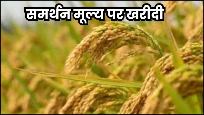 किसानों के लिए जरूरी खबर... राजस्थान व यूपी का बाजरा एमपी में समर्थन मूल्य पर न बिके, बॉर्डर पर तैनात होगी फोर्स