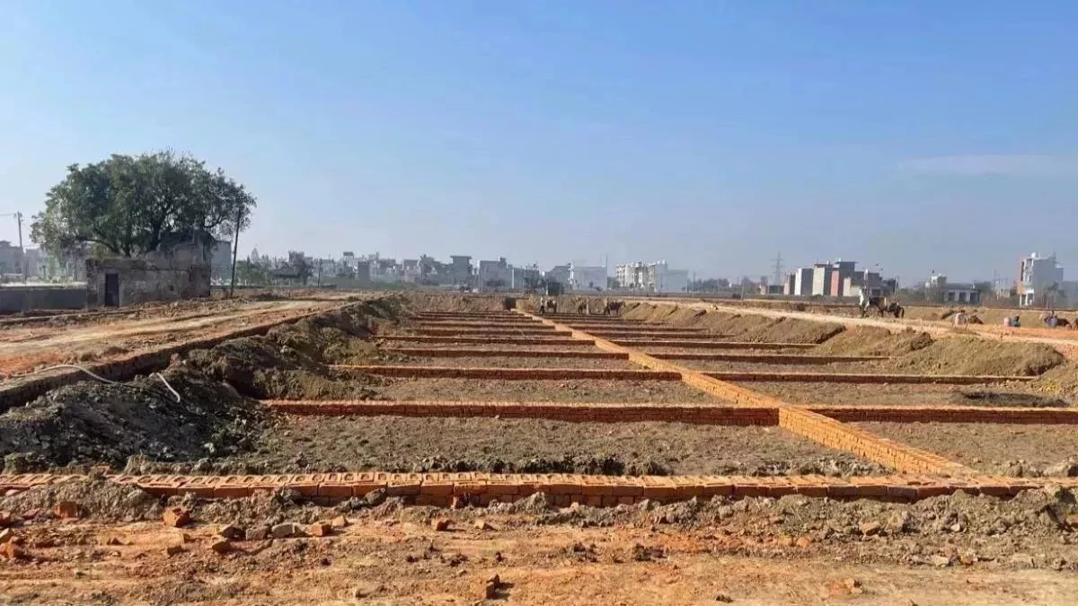 MP के राजापुर में 20 साल से 86 हेक्टेयर भूमि विवाद अटका, राजस्व विभाग की लापरवाही उजागर