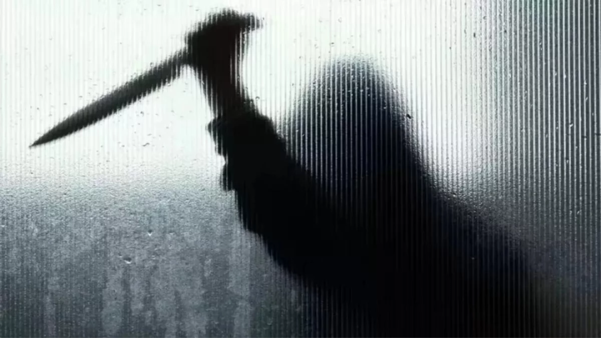 सिगरेट पर टोकना पड़ा भारी... इंदौर में 'इन्फ्लुएंसर' युवती और उसके साथियों ने युवक को चाकू से गोदा, मौत