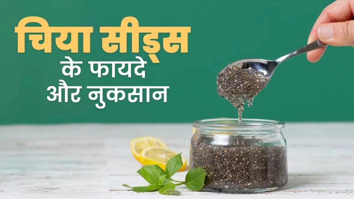 रोजाना 1 चम्मच चिया सीड्स खाने से मिलेंगे 5 जबरदस्त फायदे, बस जान लें खाने का सही तरीका