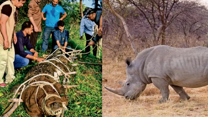 भोपाल में पर्यटकों के लिए बड़ी सौगात, चार मगरमच्छ के बदले असम से आएगा दुनिया का मशहूर एक सींग वाला गेंडा