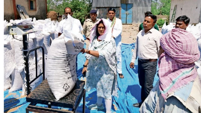 ग्वालियर कलेक्टर ने खरीदी केंद्रों पर खुद तुलवाया गेहूं, किसानों से पूछा- समय पर पैसा मिला या नहीं