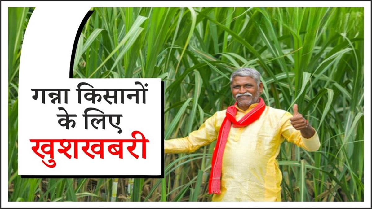 UP में हाई-टेक होगा गन्ना सर्वेक्षण, 1 मई से शुरू होगा डिजिटल सर्वे, सीधे सर्वर पर दर्ज होगा किसानों का डेटा