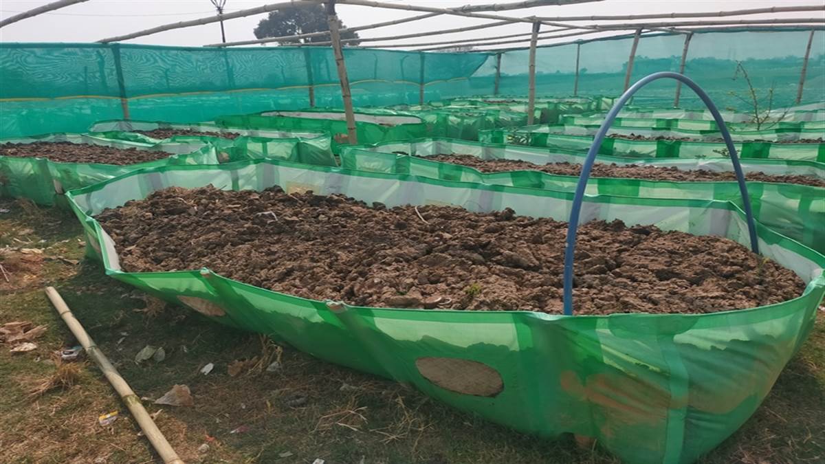 Bilaspur News:   गोबर से ऐसे आई समृद्धि,खरीदा ट्रैक्टर
