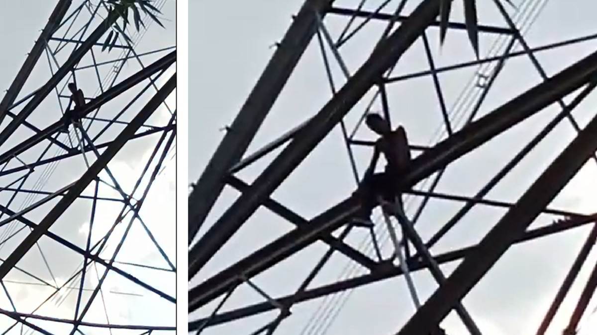 Shahdol News: बिजली की हाईटेंशन लाइन के टावर पर चढा युवक, पुलिस ने नीचे उतार कर बचाई जान