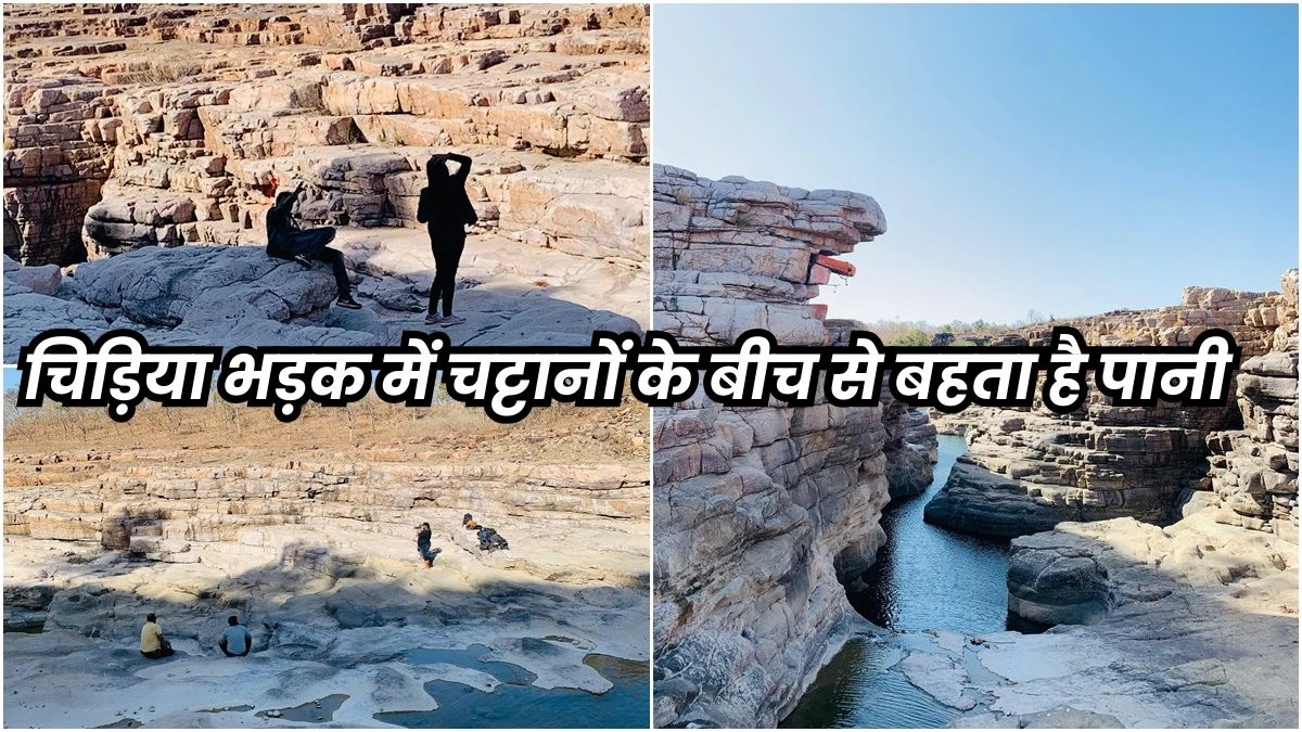 Tourist Place Near Indore: Birds flare close to Indore… Vaids where there is still water, natural beauty and adventure