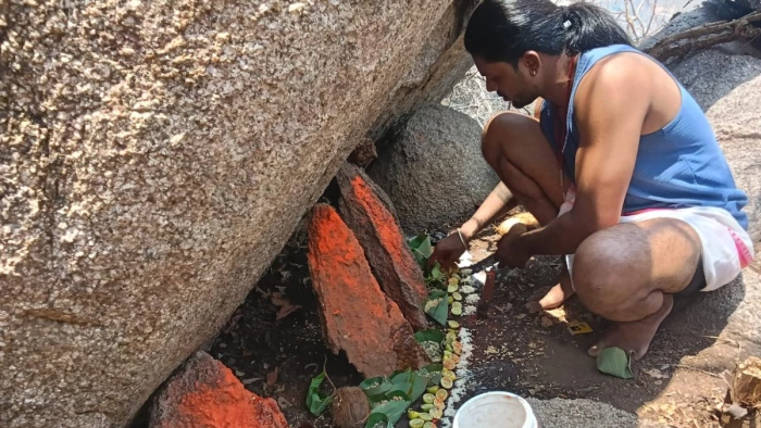 मां बम्लेश्वरी मंदिर पहाड़ी पर मुर्गे की बलि से भड़का विवाद, ट्रस्ट की शिकायत के बाद बैगा गिरफ्तार
