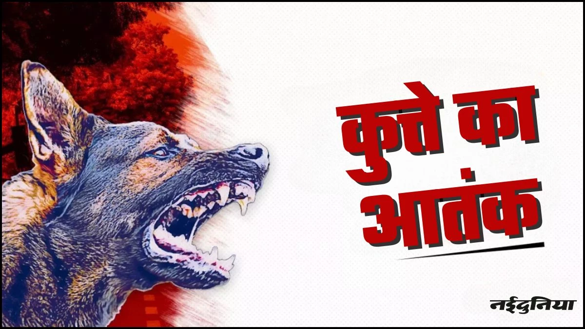 बड़वाह में कुत्ते का आतंक...3 बच्चों समेत नौ लोगों को बनाया निशाना, बच्ची की होगी सर्जरी