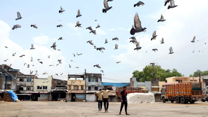 आधा प्रतिशत मंडी शुल्क बढ़ाने के विरोध में प्रदेश की 270 मंडियों में रही हड़ताल, इंदौर में ढाई सौ करोड़ का कारोबार प्रभावित