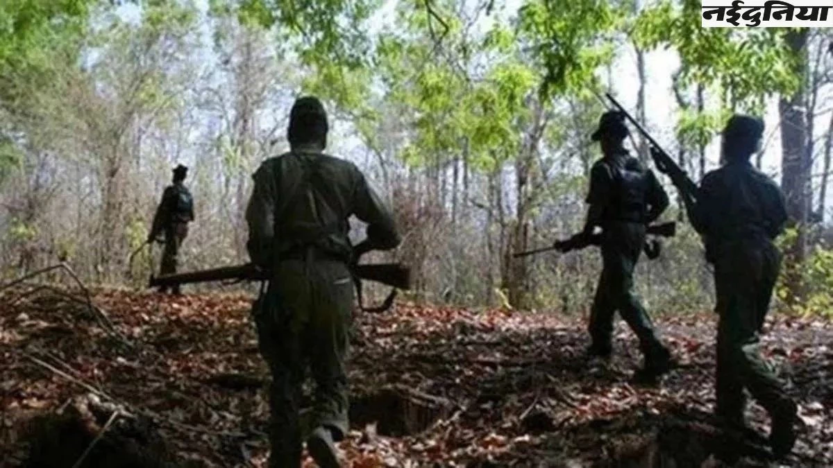 सुकमा में सुरक्षाबलों को मिली बड़ी कामयाबी, भारी मात्रा में विस्फोटक सामग्री बरामद