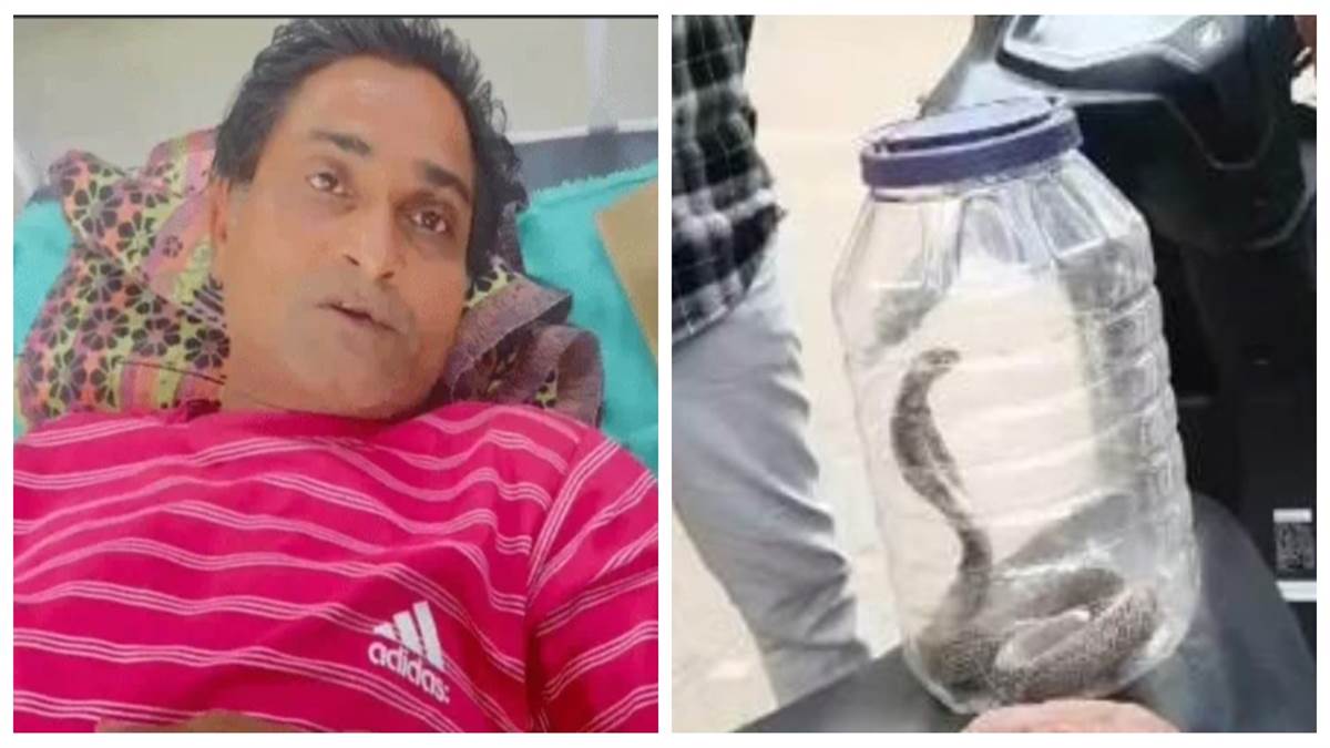 पहले पकड़ो सांप: कोरबा में अजीब मामला, सर्पदंश के इलाज के लिए अस्पताल मंगाया गया कोबरा, फिर शुरू हुआ उपचार
