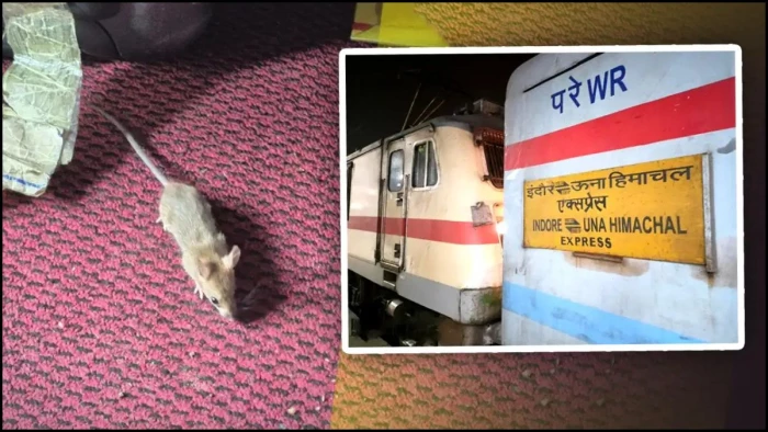 AC कोच में बुजुर्ग यात्री की नाक पर चूहे ने काटा, शिकायत के 4 घंटे तक नहीं मिला उपचार, ऊना से इंदौर आ रही थी ट्रेन